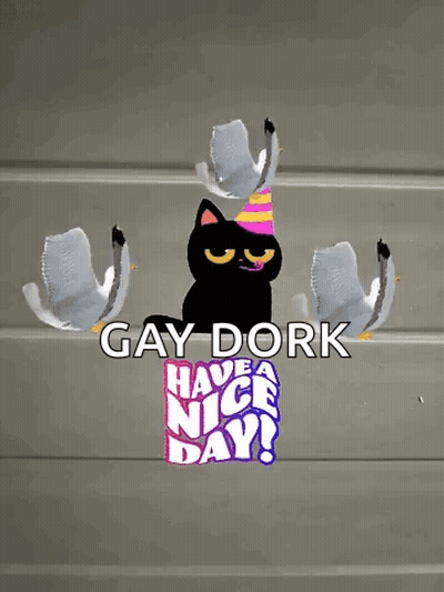 Black Cat In Party Hat Surrounded By Seagulls Gay Dork Have A Nice Day GIF