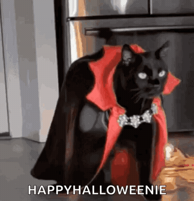 Black Cat in Red Cape and Necklace