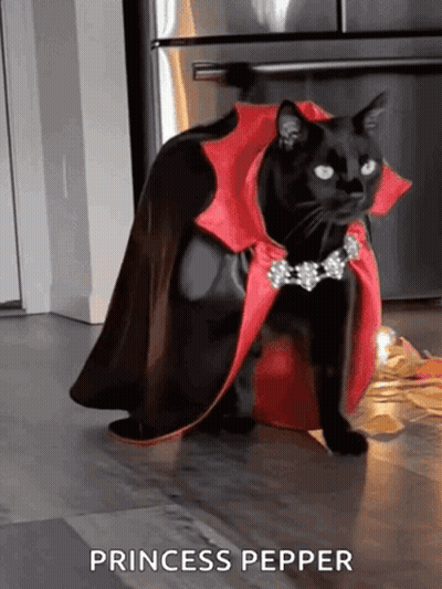 Black Cat In Red Cape Saying Princess Pepper GIF