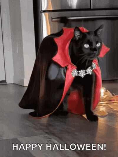 Black Cat In Red Cape Says Happy Halloween GIF