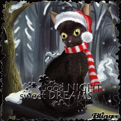 Black Cat In Santa Hat And Scarf Saying Good Night Sweet Dreams GIF