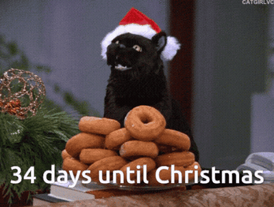 Black Cat In Santa Hat Holding Donuts 34 Days Until Christmas GIF