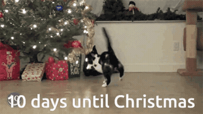 Black Cat In Santa Hat Holding Donuts 34 Days Until Christmas GIF