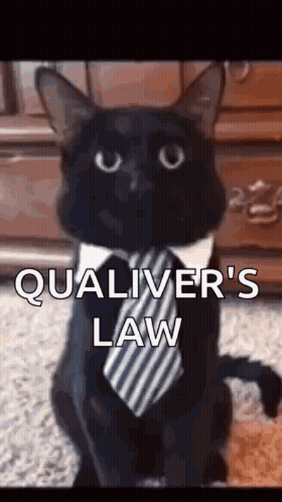 Black Cat In Tie Collar Saying Qualiver's Law GIF