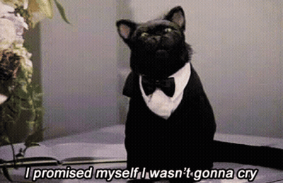 Black Cat In Tuxedo Saying I Promised Myself I Wasn't Gonna Cry GIF
