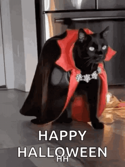 Black Cat In Vampire Costume And Cape GIF