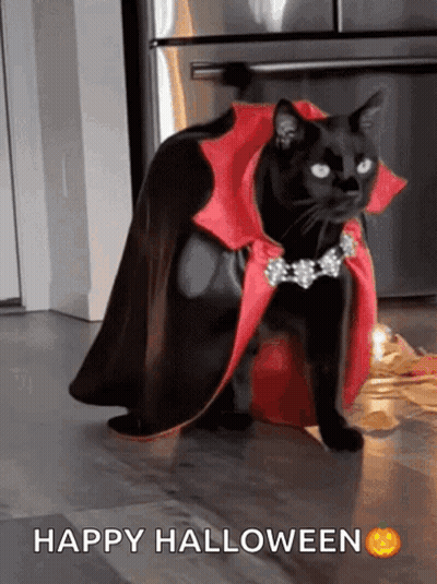 Black Cat In Vampire Costume Happy Halloween GIF
