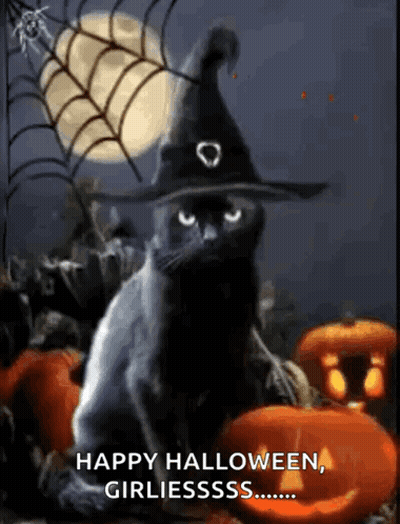 Black Cat In Witch Hat Sitting With Pumpkins GIF