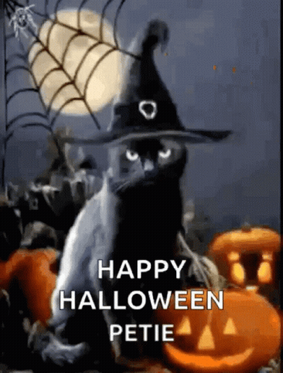 Black Cat In Witch Hat Surrounded By Pumpkins And Spider Web GIF