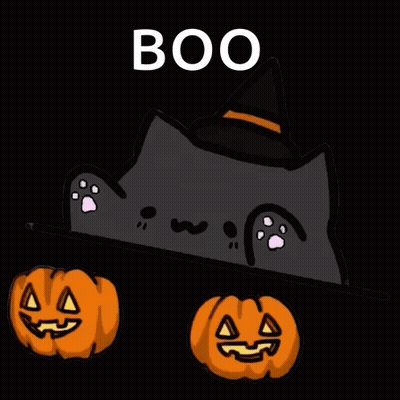 Black Cat In Witch Hat Surrounded By Pumpkins Saying Boo GIF