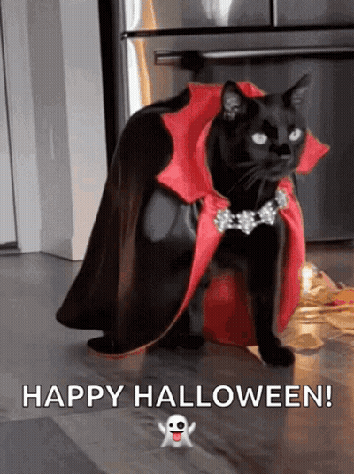Black Cat In Witch Hat Surrounded By Pumpkins Saying Happy Halloween Back At You GIF