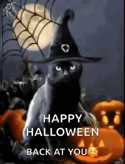 Black Cat In Witch Hat Surrounded By Pumpkins Saying Happy Halloween Back At You GIF