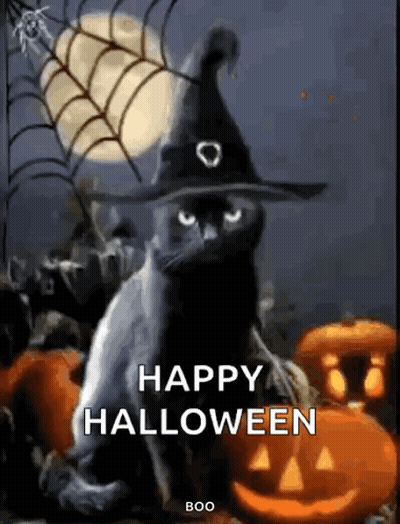 Black Cat In Witch Hat With Pumpkins And Spider Web GIF