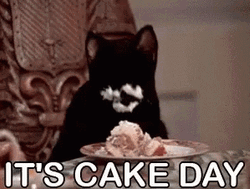 Black Cat It's Birthday Cake Day GIF