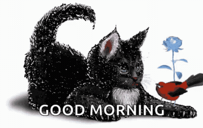 Black Cat Laying Beside Bird And Flower Good Morning GIF