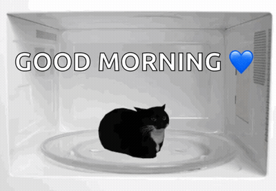 Black Cat Laying In Microwave Good Morning GIF
