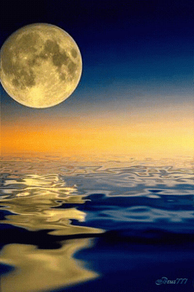 Black Cat Laying On Back With Full Moon GIF