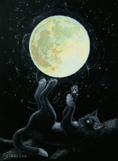 Black Cat Laying On Back With Full Moon GIF
