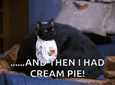 Black Cat Laying On Bed And Then I Had Cream Pie GIF
