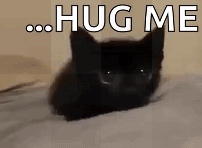 Black Cat Laying On Bed Saying Hug Me GIF