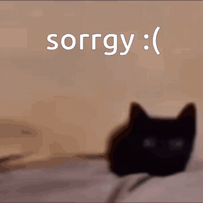 Black Cat Laying On Bed Saying Sorry GIF