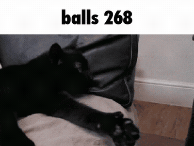 Black Cat Laying On Couch Balls 268 GIF
