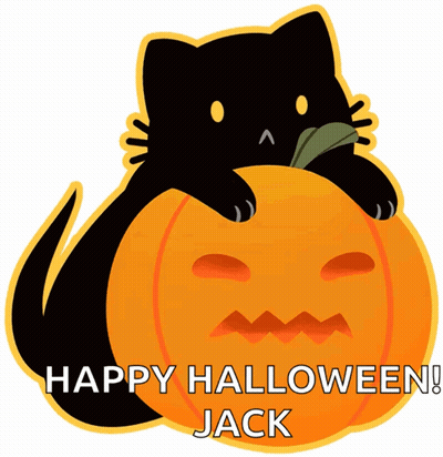 Black Cat Laying On Pumpkin Happy Halloween Jack GIF