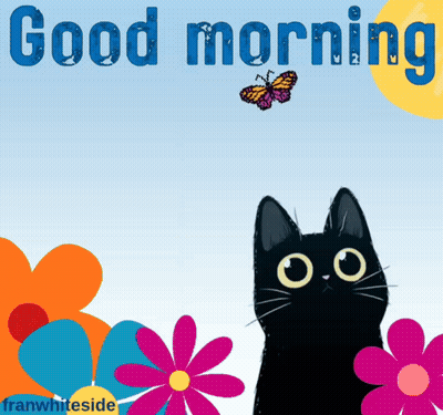Black Cat Looking At Butterfly Good Morning GIF