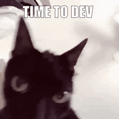 Black Cat Looking at Camera Saying Time to Dev