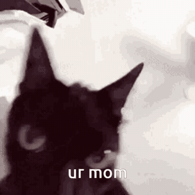 Black Cat Looking At Camera Ur Mom GIF