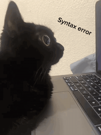 Black Cat Looking At Laptop Saying Syntax Error GIF