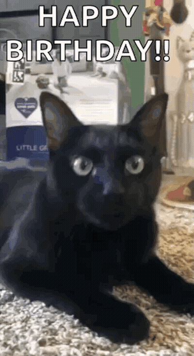 Black Cat Lying With Happy Birthday GIF