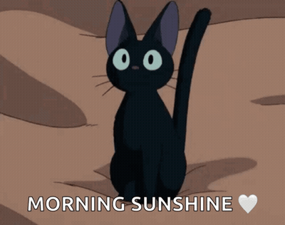 Black Cat Morning Sunshine GIF
