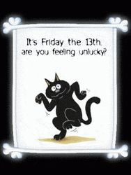 Black Cat Moving Its Friday The 13Th GIF