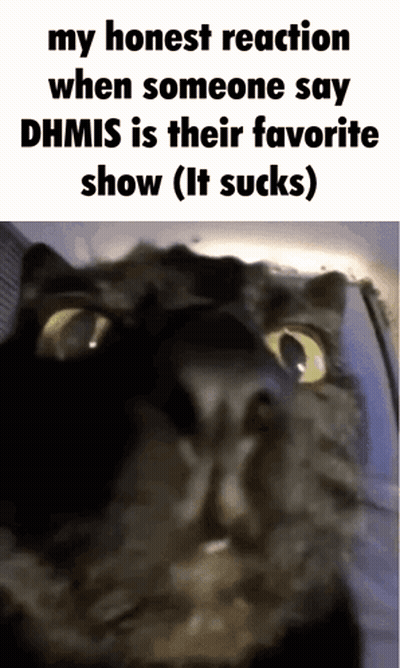Black Cat My Honest Reaction When Someone Says DHMIS GIF