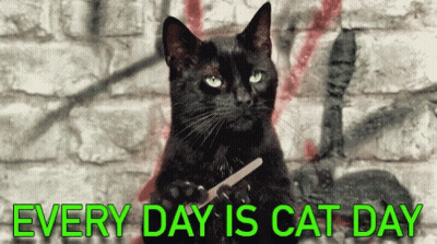 Black Cat Nail Clipper Every Day Is Cat Day GIF