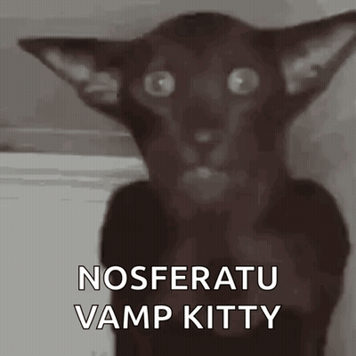 Black Cat Nosferatu Vamp Kitty GIF