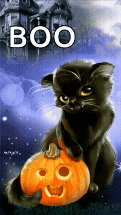 Black Cat On Carved Pumpkin Saying Boo GIF