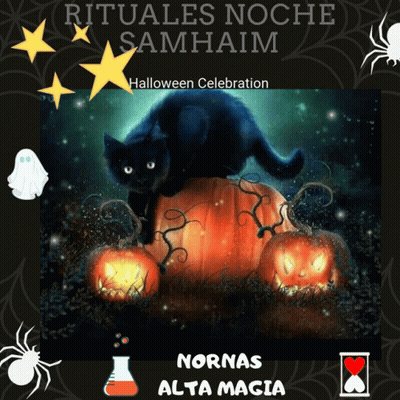 Black Cat On Pumpkin Rituales Noche Samhain Halloween GIF