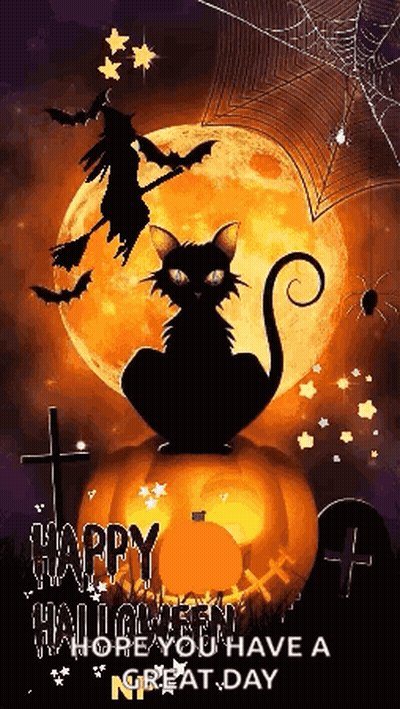 Black Cat On Pumpkin With Full Moon And Witch On Broom GIF