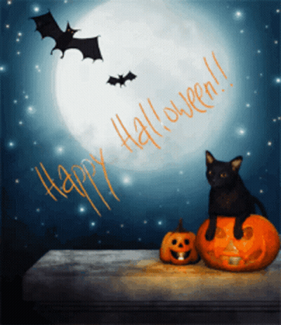 Black Cat On Pumpkin With Full Moon Happy Halloween GIF