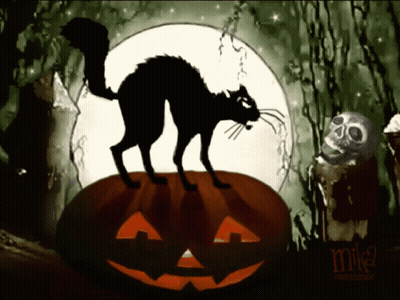 Black Cat On Pumpkin With Mike Messner GIF