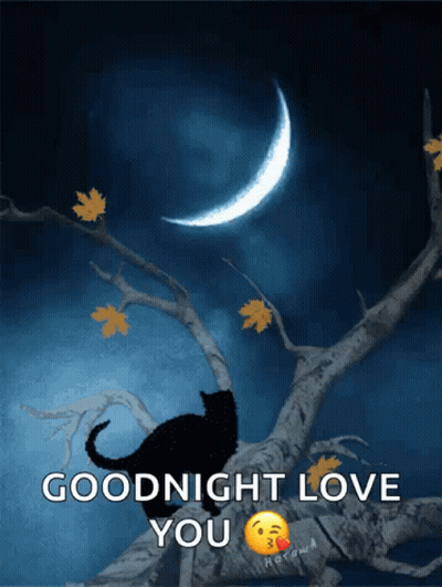 Black Cat On Tree Branch Goodnight Love You GIF