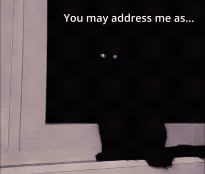 Black Cat On Window Sill Saying The Fool GIF