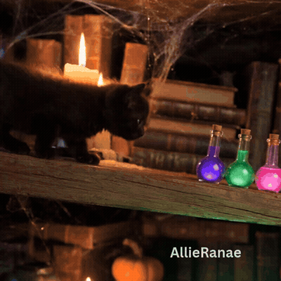 Black Cat On Wooden Shelf Next To Potions And Candle GIF