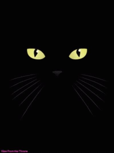 Black Cat Pink Tongue Hello Saturday GIF