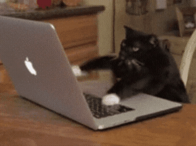 Black Cat Playing With Apple Laptop GIF