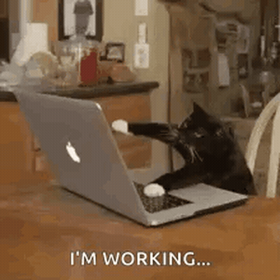 Black Cat Playing With Laptop GIF