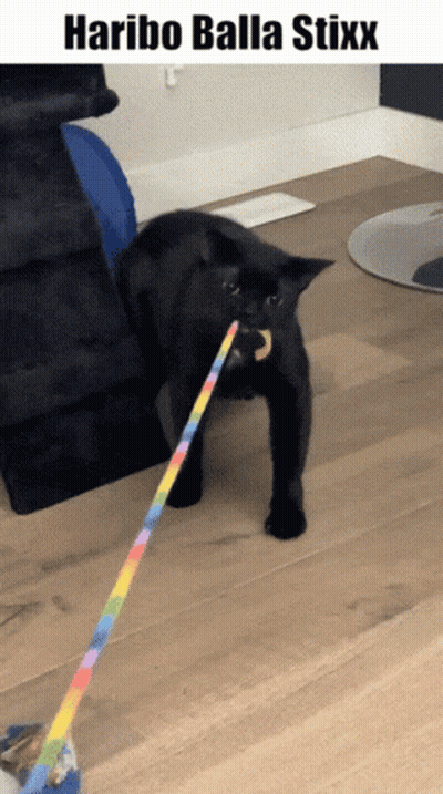 Black Cat Playing With Rainbow Toy Haribo Balla Stixx GIF