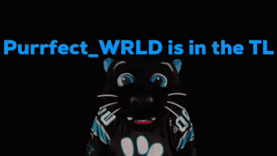 Black Cat Purrfect Wrld GIF